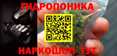 МДПВ Дубна