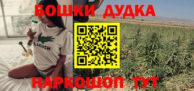 МДПВ Дубна