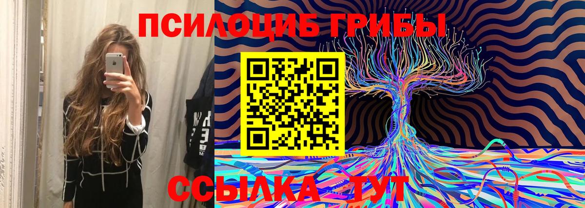 Майский  Псилоцибиновые грибы прущие грибы  как найти закладки  Вход с VPN  Галлюциногенные грибы GOLDEN TEACHER 